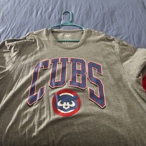 Gray Cubs Graphic T-Shirt